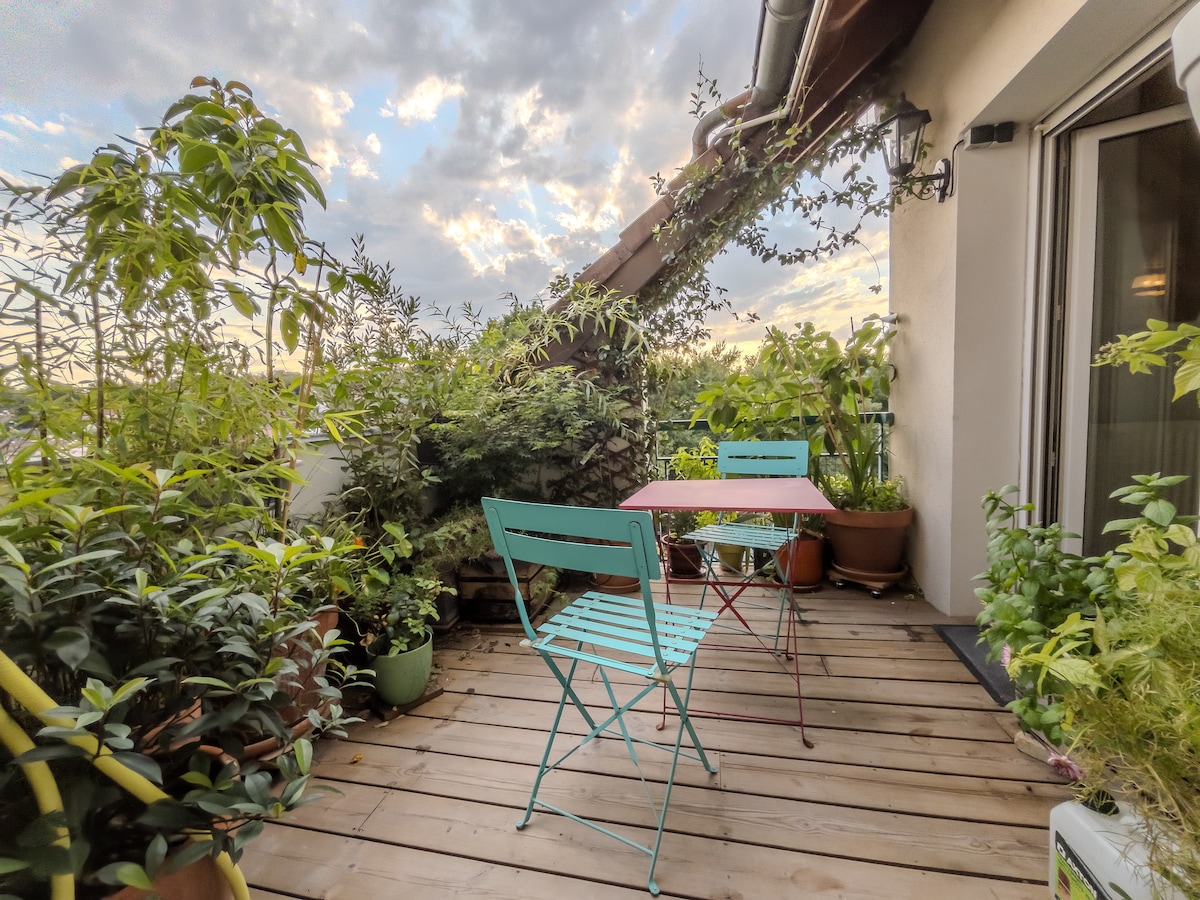 West-facing terrace full of plants